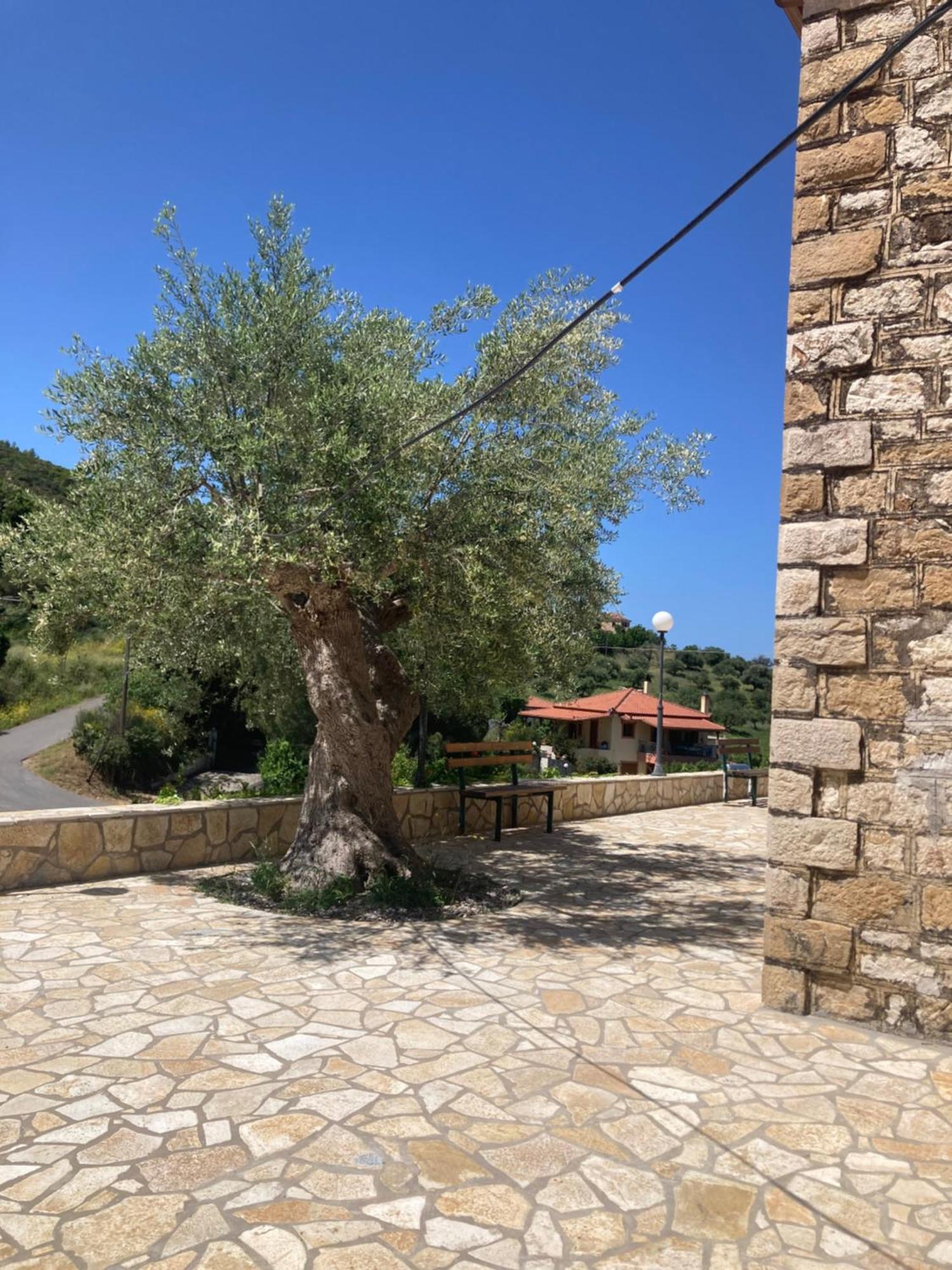 Villa Au Son Des Cloches à Zacharo Extérieur photo